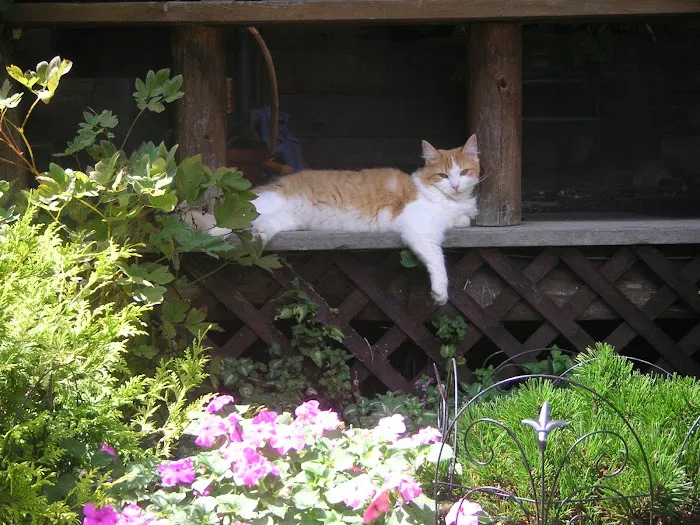 Hebron Veterinary Hospital 3
