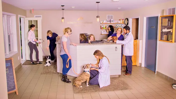 Hebron Veterinary Hospital 9