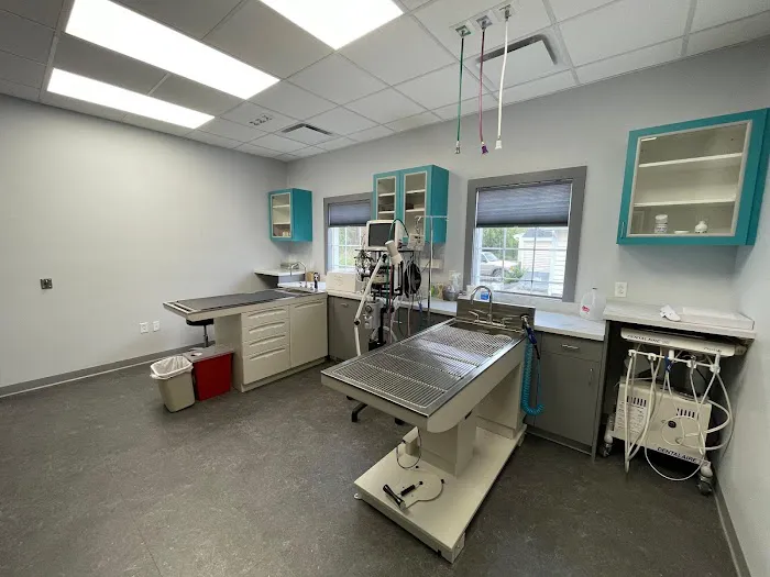 CareFur Veterinarians 8