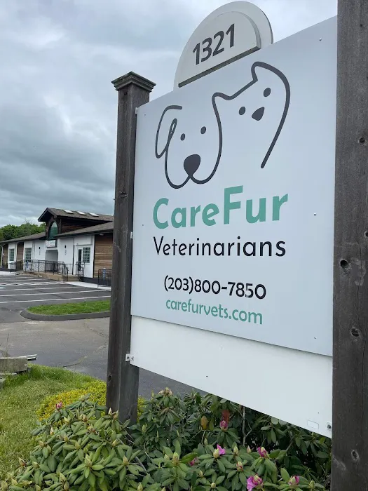 CareFur Veterinarians 7