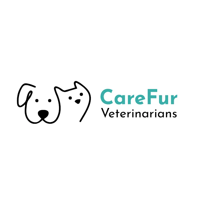 CareFur Veterinarians 2