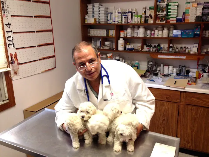 Hammonasset Animal Clinic 2