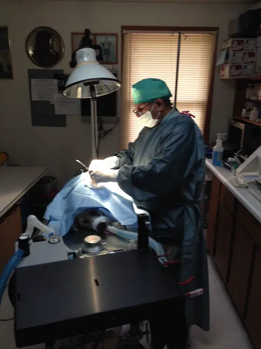 Hammonasset Animal Clinic 1