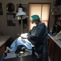 Hammonasset Animal Clinic ico