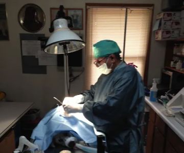 Hammonasset Animal Clinic