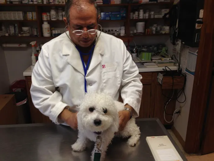Hammonasset Animal Clinic 6