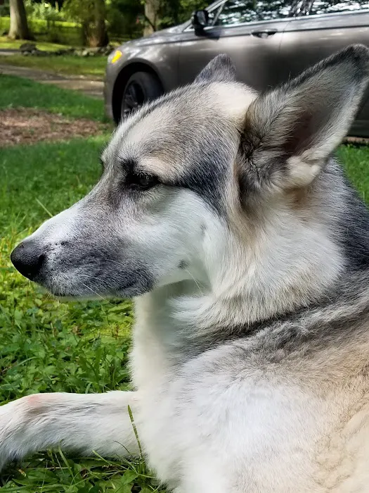Shoreline Animal Hospital 4