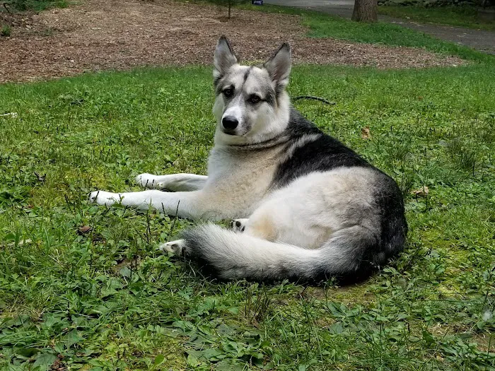 Shoreline Animal Hospital 6
