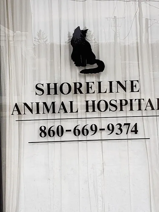 Shoreline Animal Hospital 8