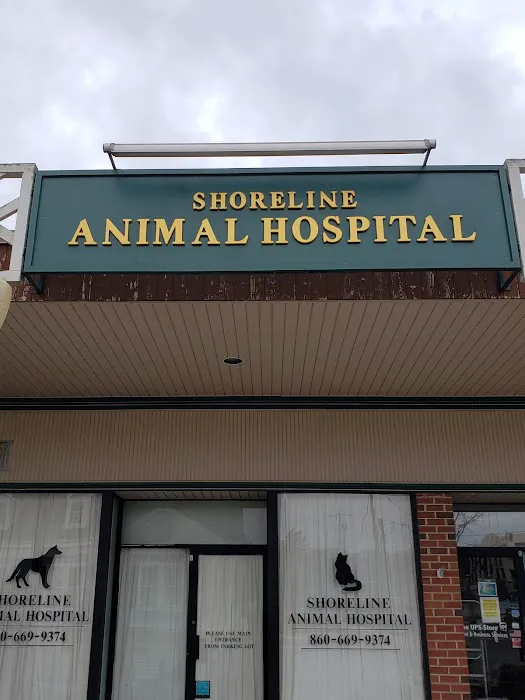 Shoreline Animal Hospital 7