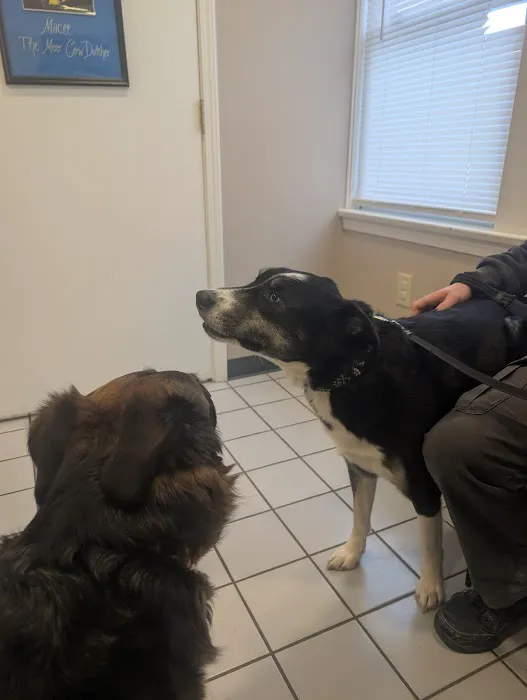 German Flatts Veterinary Clinic 4