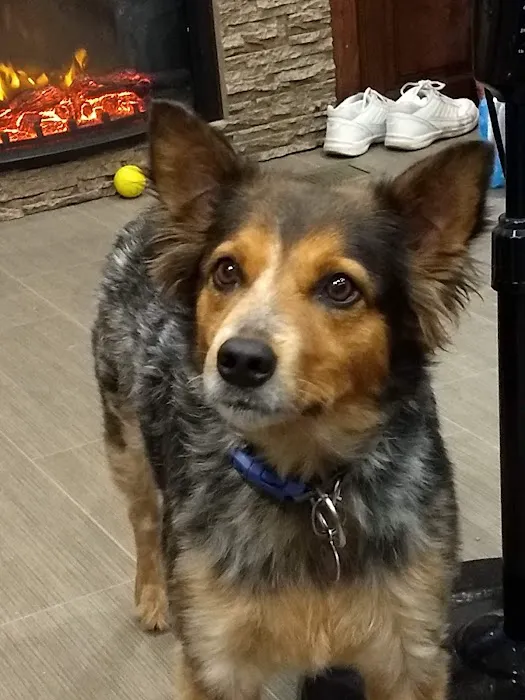 German Flatts Veterinary Clinic 5
