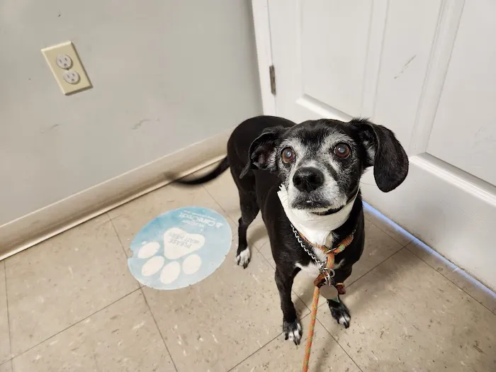 Waterville Veterinary Clinic 1