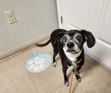 Waterville Veterinary Clinic