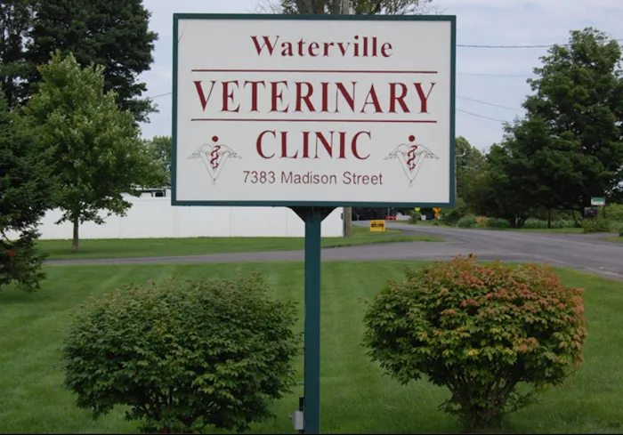 Waterville Veterinary Clinic 9