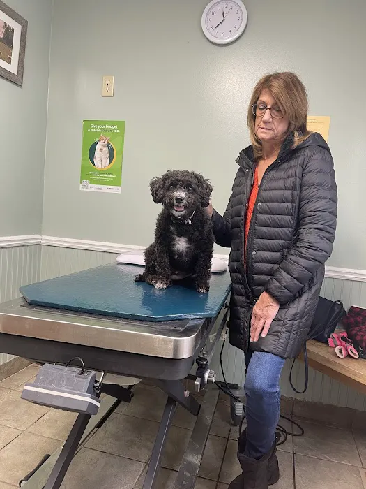 Waterville Veterinary Clinic 3