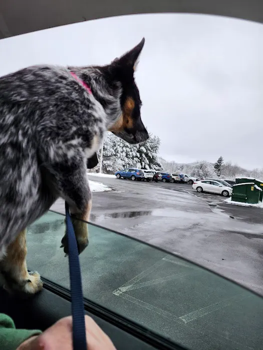 Waterville Veterinary Clinic 2