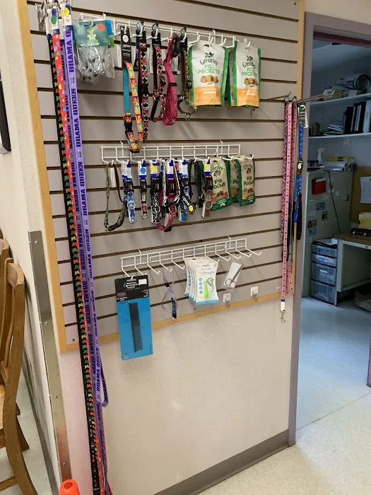VCA Cazenovia Animal Hospital 5