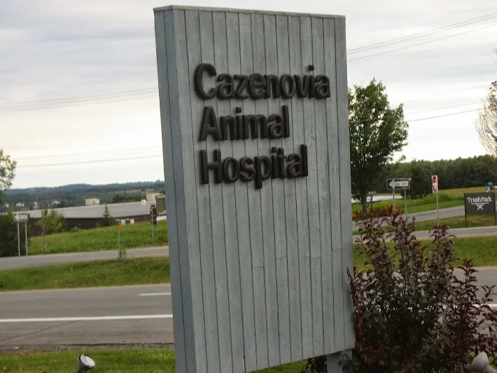 VCA Cazenovia Animal Hospital 9