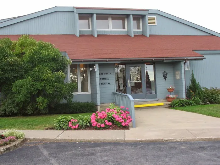 VCA Cazenovia Animal Hospital 6