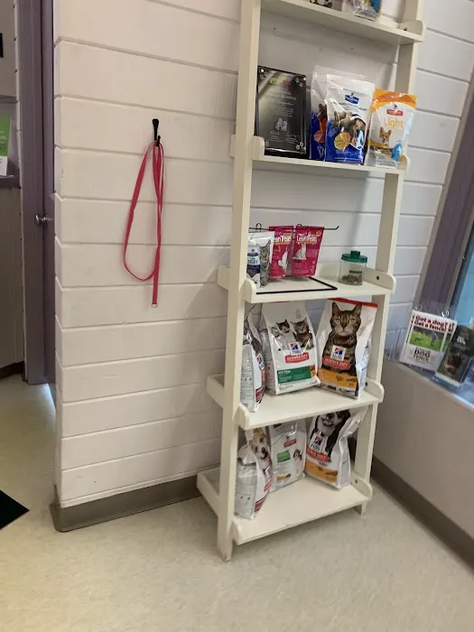 VCA Cazenovia Animal Hospital 2