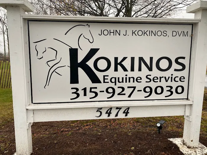 Kokinos Equine Services Inc: John J Kokinos DVM 6
