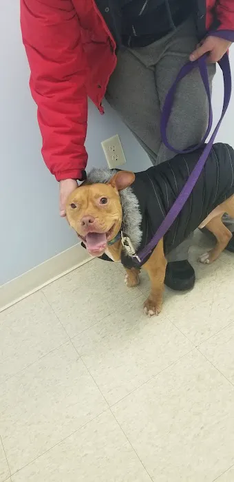 Lawton's Animal Hospital 1