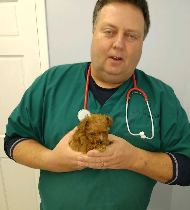 Lawton's Animal Hospital 8