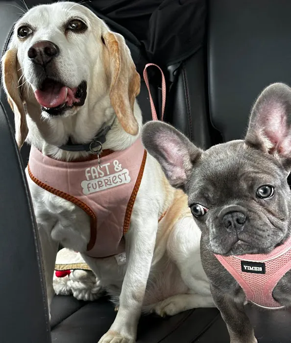 Upstate Animal Clinic Management Inc 10