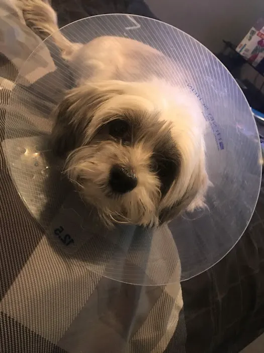 Clinton Veterinary Hospital: Price J L DVM 3