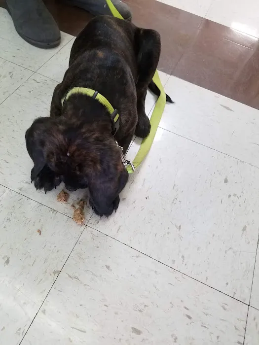 Nature Veterinary Center, Inc. 4