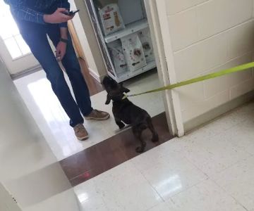 Nature Veterinary Center, Inc.