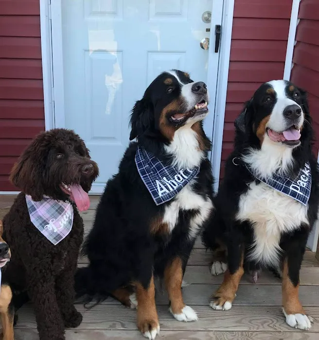 La Crosse Animal Hospital 5