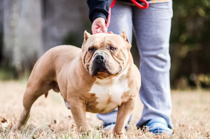 La Crosse Animal Hospital 1