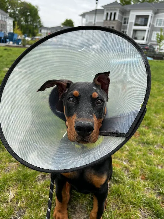 La Crosse Animal Hospital 2