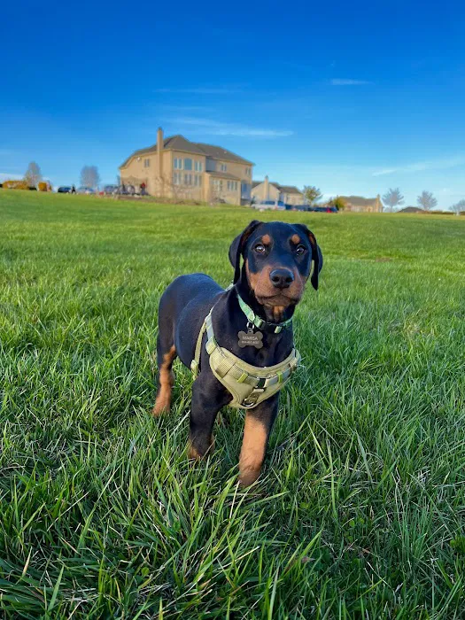 La Crosse Animal Hospital 9