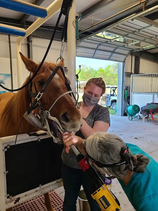 Greenville Mobile Equine Services 2