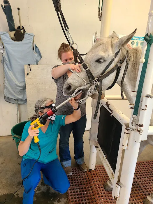 Greenville Mobile Equine Services 5