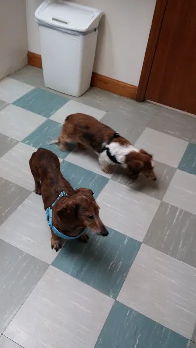 Animal Hospital of Beulaville 8