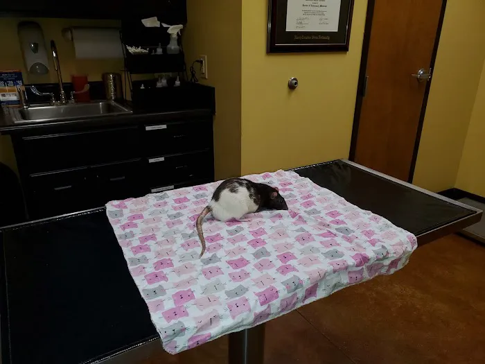 Warsaw Animal Hospital: Houston Margie E DVM 1