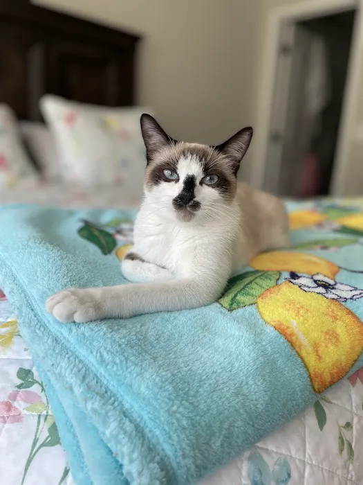 Ideal Pet Care 6
