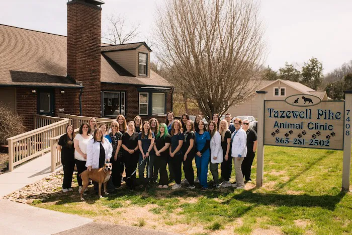 Tazewell Pike Animal Clinic 7