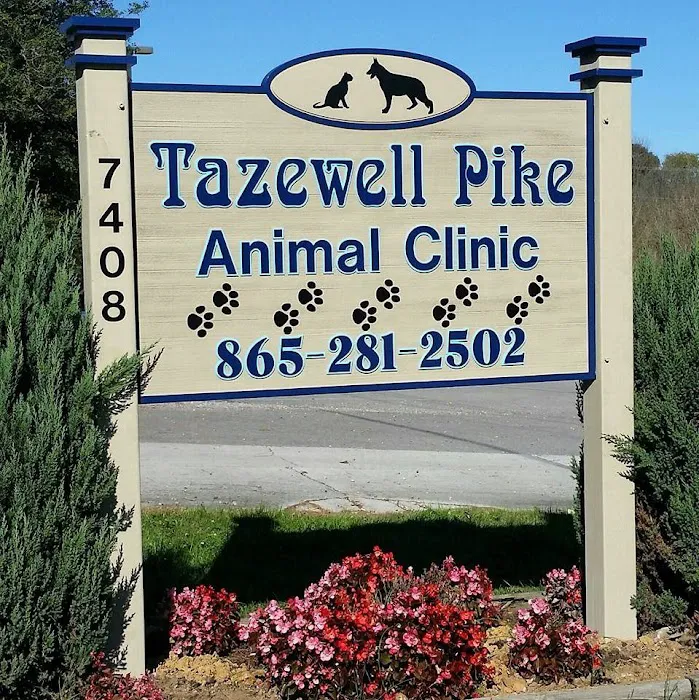 Tazewell Pike Animal Clinic 10