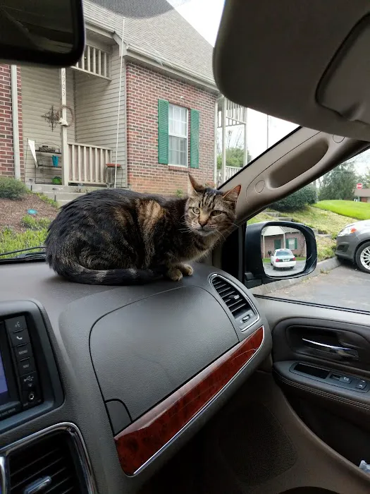 Halls Animal Hospital 9