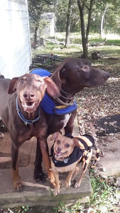 Halls Animal Hospital 5