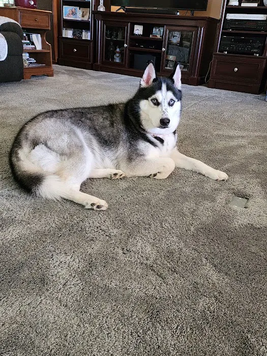 Embassy Veterinary Center Emory 3
