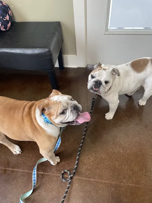 Embassy Veterinary Center Emory 8