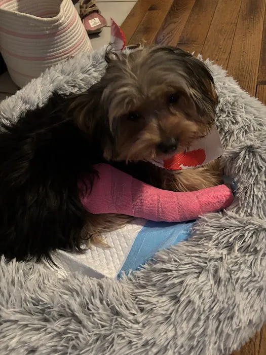 Embassy Veterinary Center Emory 9