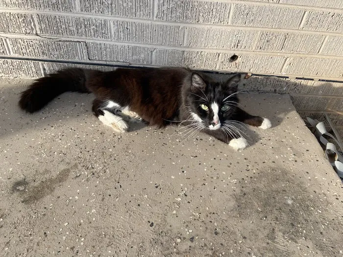 Lakeway Animal Hospital 10