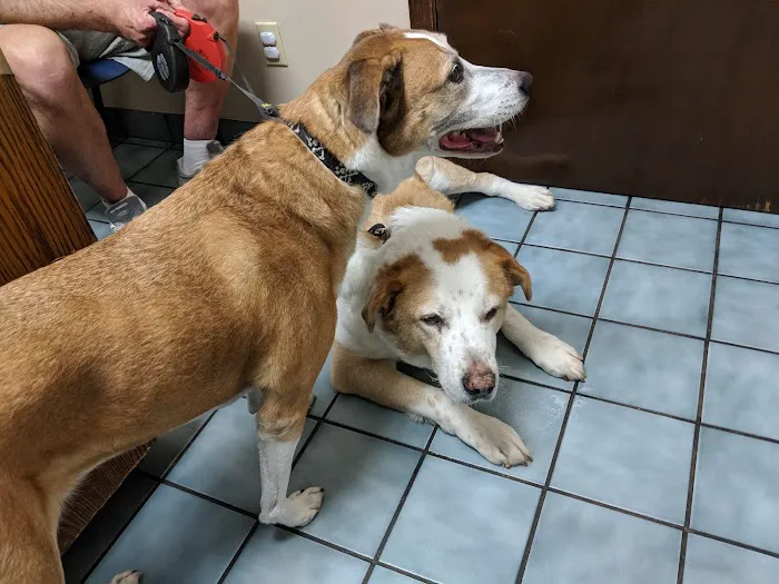 Lakeway Animal Hospital 7